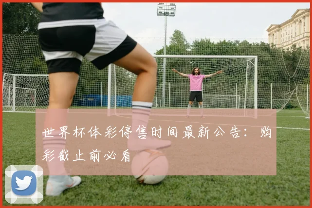世界杯体彩停售时间最新公告：购彩截止前必看