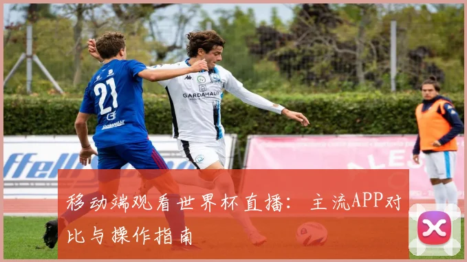 移动端观看世界杯直播：主流APP对比与操作指南