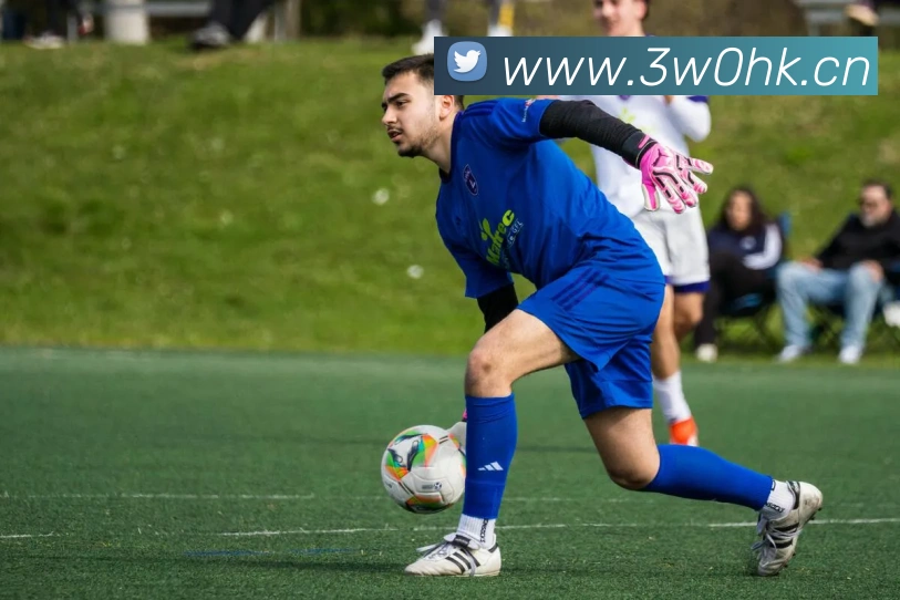 乐鱼在线登录平台入口服务体系